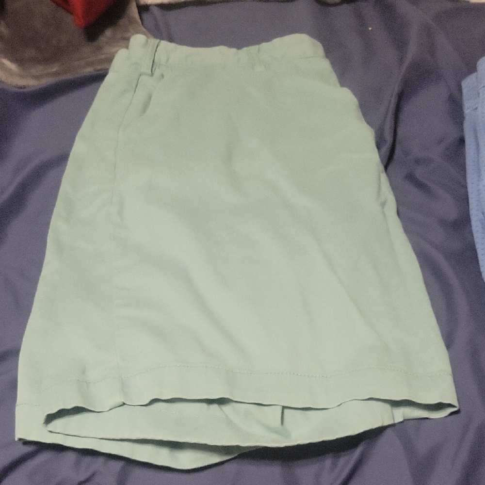 Nautica Mint Green Men's Flat Front Shorts